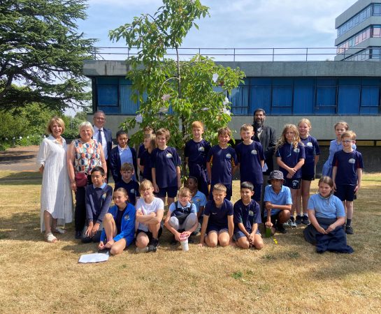 Remembering Srebrenica cherry tree planting