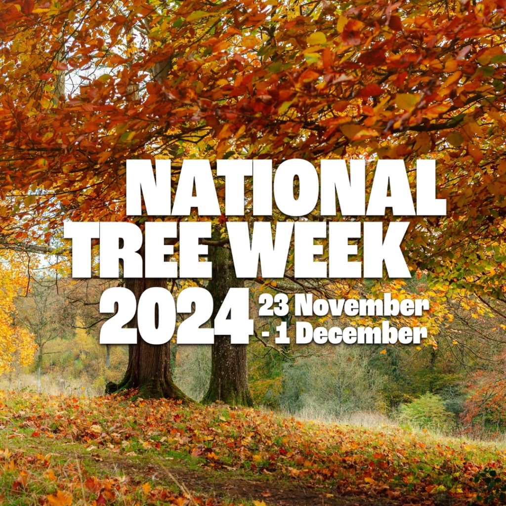 National Tree Week 2024 logo