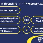 COVID-19 weekly stats, 11-17 February 2022 infographic