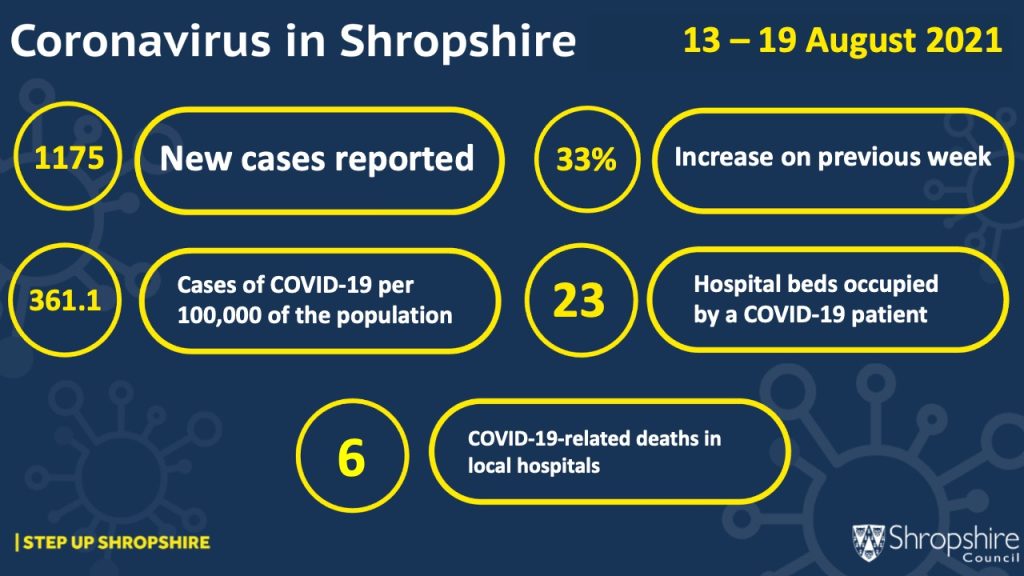 COVID-19 cases, hospitalisations and deaths locally 13-19 August 2021 infographic