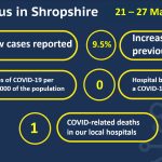 COVID-19 cases etc 21-27 May 2021 infographic