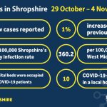 COVID-19 statistics locally 29 October - 4 November 2021 infographic