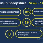 COVID-19 cases and hospitalisations, 30 July-5 August 2021 infographic
