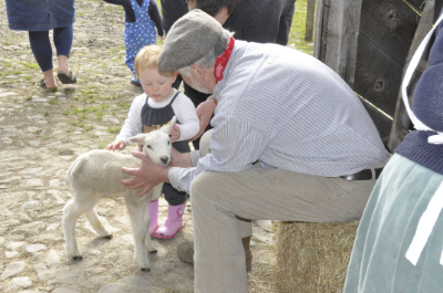 An image of a toddler stroking a lamb that is being held by a farm worker keeping alive the heritage of a Victorian Farm.
