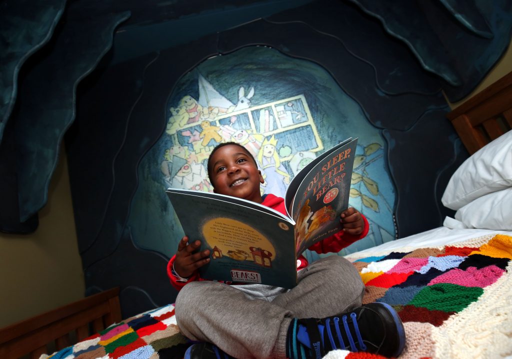 An image of a boy in the bear cave reading a children's book with a big smile on his face. Visit Bears at Shrewsbury Museum and Art Gallery from February to April 2019.