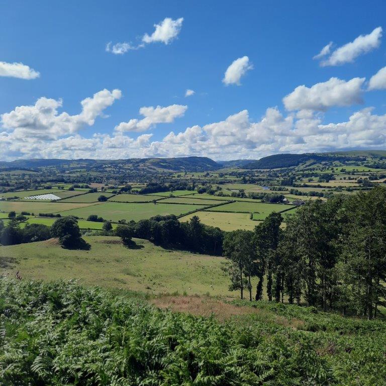 Caersws Basin with Severn Hafren in mid ground view looking north