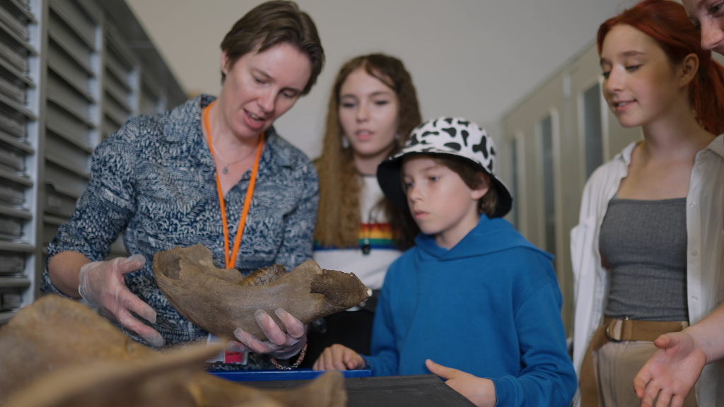 Shropshire Museums’ Collections Centre in Ludlow