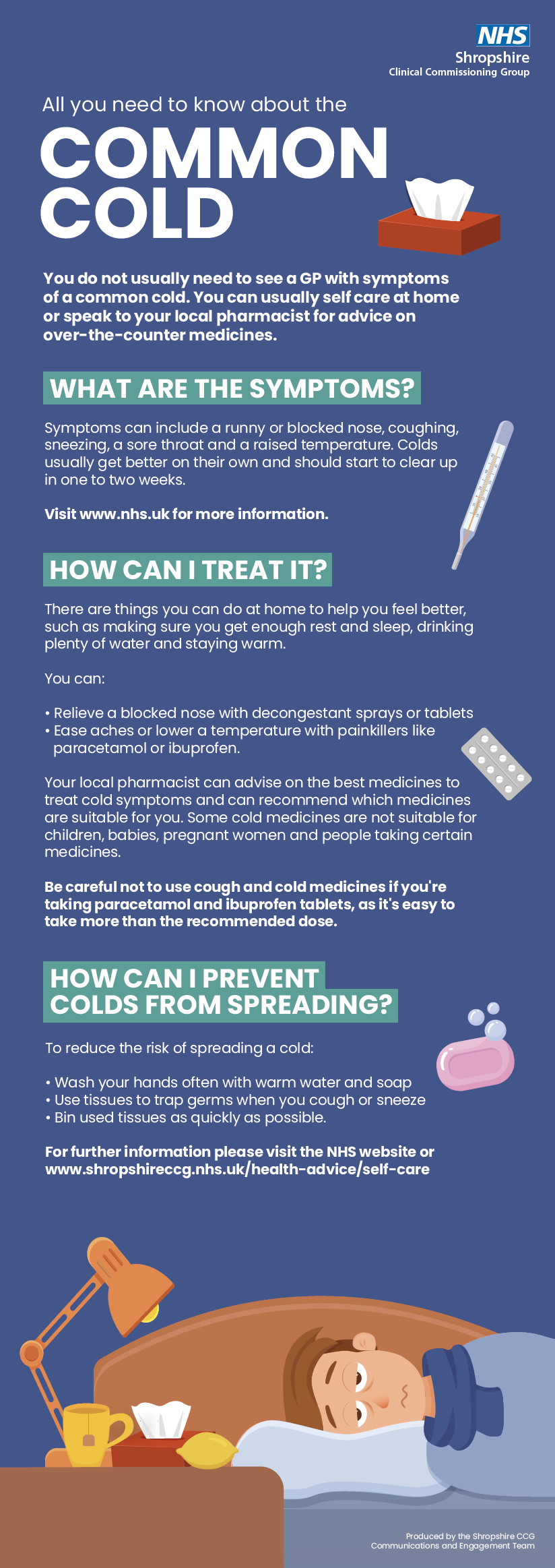 Common cold infographic