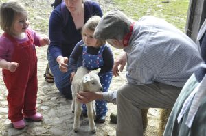 An image of a child with her family and a lamb at Acton Scott Historic Working Farm.
