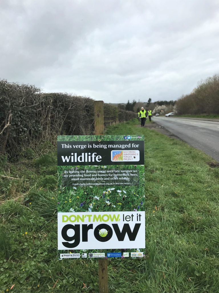 'Don't mow, let it grow' verge sign in Bishops Castle