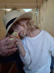 An image of a child holding a duckling at Acton Scott Historic Working Farm. 
