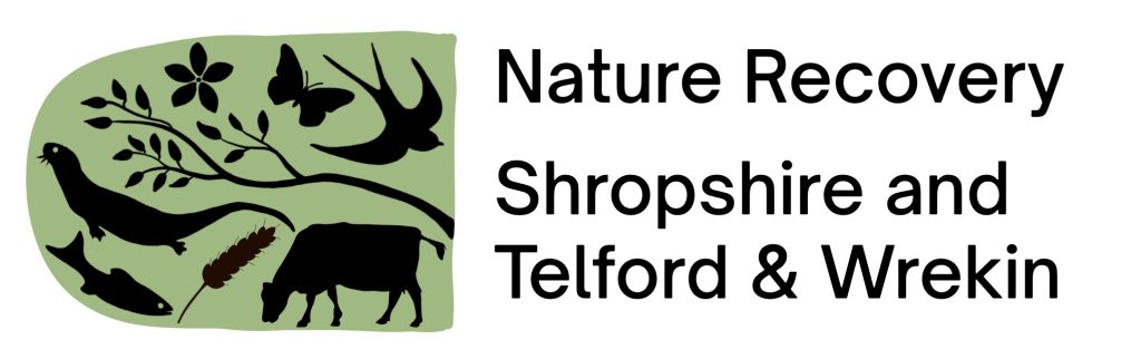 Shropshire, Telford and Wrekin Local Nature Recovery Strategy logo