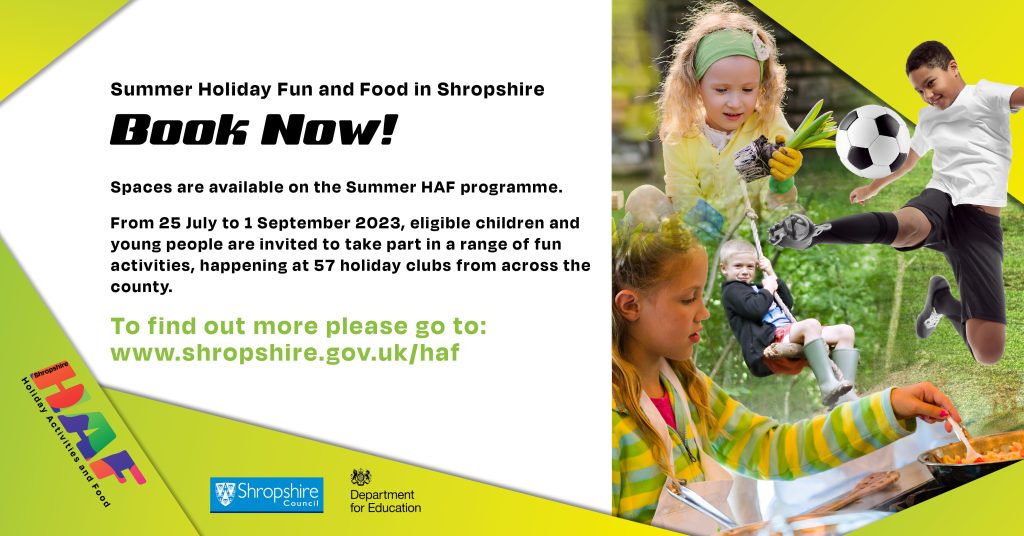 Holiday Activities and Food (HAF) programme - Summer 2023 infographic