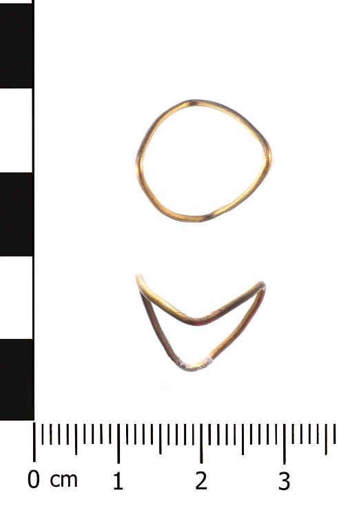 An image of the iron age ring that was found in Shropshire. It has been declared as treasure,