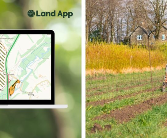 Screenshots of Land App’s new Agroforestry Designer Toolkit (L) and agroforestry in action (R). Credit Land App (L) and The Tree Council (R).