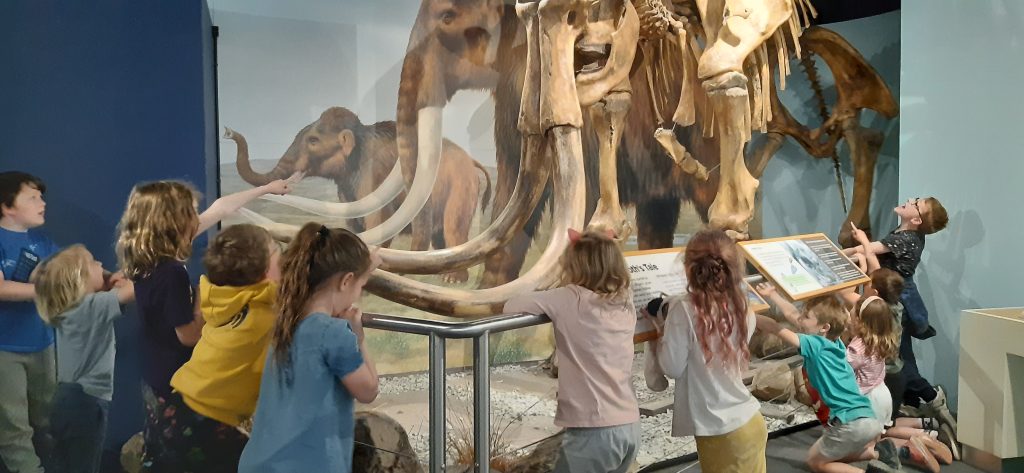 Children viewing a replica mammoth skeleton