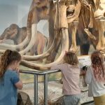 Children viewing a replica mammoth skeleton