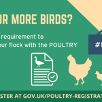 Avian flu - poultry registration infographic