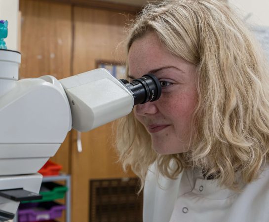 Clinician looking through a microscope