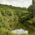 An image of the River Severn sat in the lush Severn Valley running through Severn Valley Country Park. The Park is going to be receiving a children's play area as part of the Unlocking the Severn project.