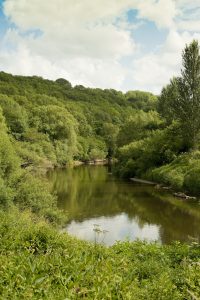 An image of the River Severn sat in the lush Severn Valley running through Severn Valley Country Park. The Park is going to be receiving a children's play area as part of the Unlocking the Severn project.