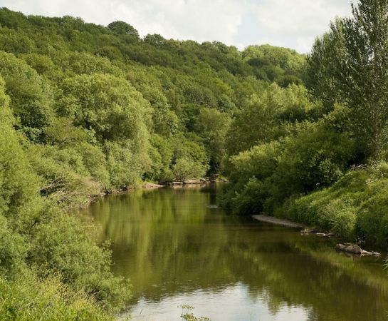 An image of the River Severn sat in the lush Severn Valley running through Severn Valley Country Park. The Park is going to be receiving a children's play area as part of the Unlocking the Severn project.