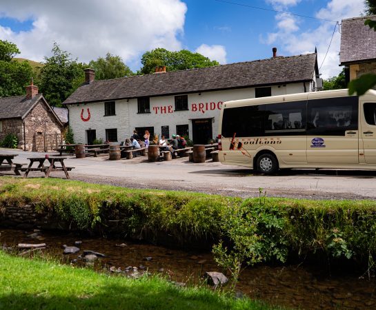 Developing the tourism and visitor economy