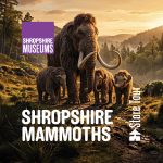 Behind the Scenes Store Tour: Shropshire Mammoths