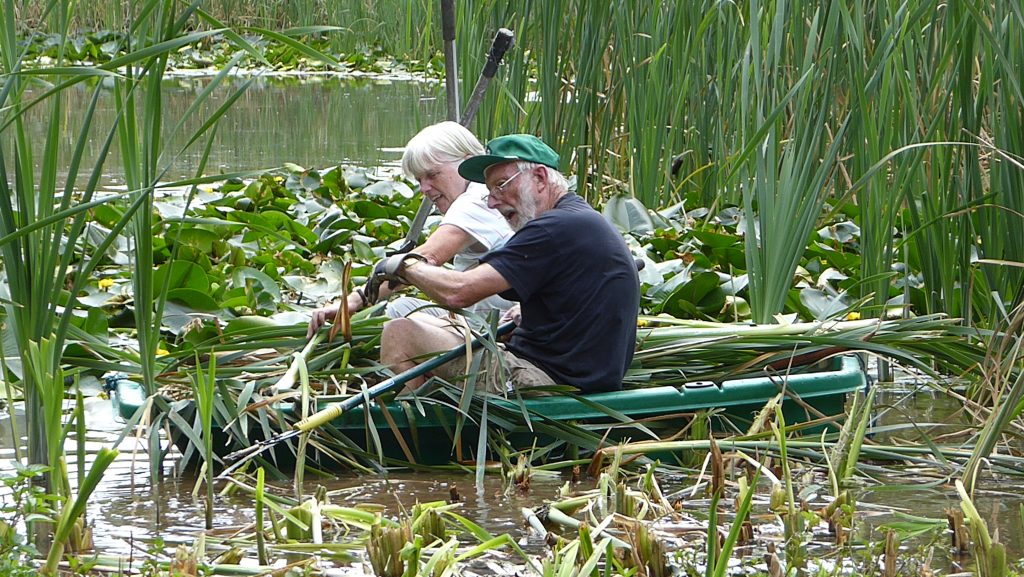 An image of volunteers working on a pond at Severn Valley Country Park while volunteering. 