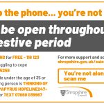 Suicide Prevention Festive Season Media Post