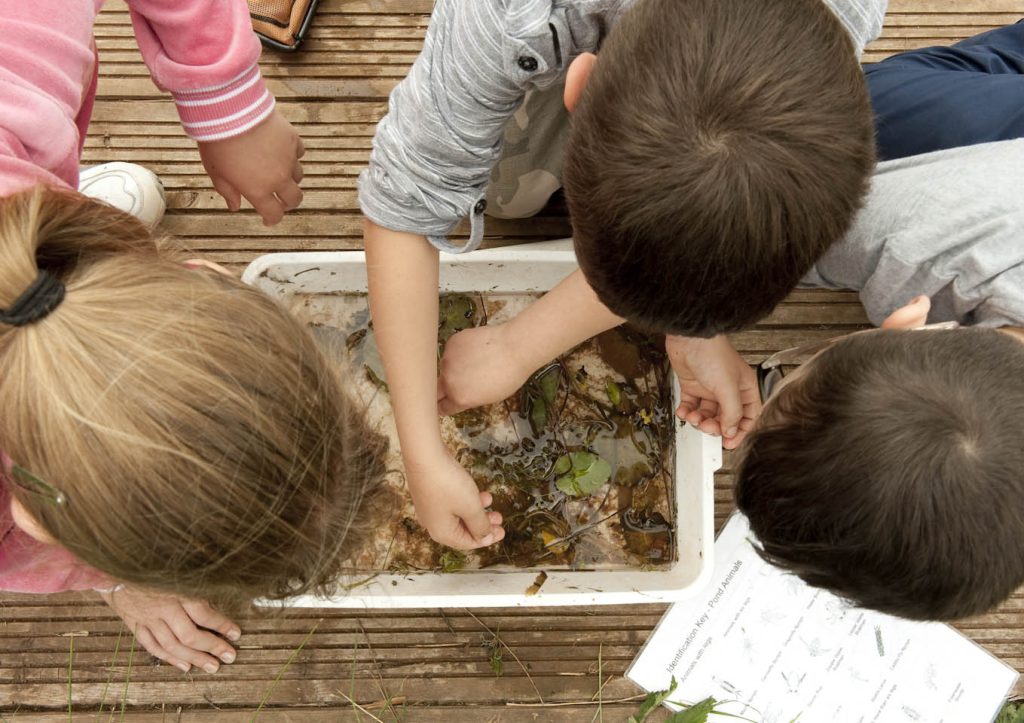 An image of children learning about mini woodland beasts such as slugs and snails at Severn Valley Country Park.