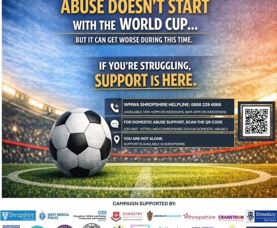 Domestic abuse awareness poster