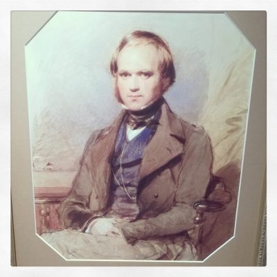 An image of a painting of a young and beardless Charles Darwin that is on display at Shrewsbury Museum and Art Gallery.