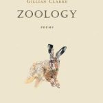 An image of the front cover of Gillian Clarke's new collection, Zoology. The image features a photo of a hare.