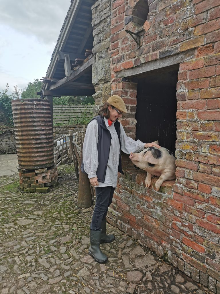 Acton Scott Farm pig