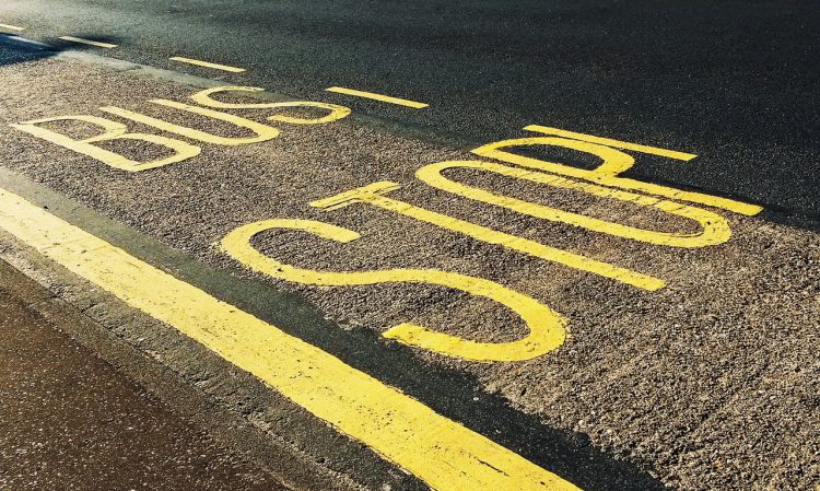 Bus stop markings close up