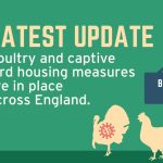Avian flu - latest legal measures graphic