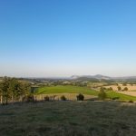 A green field in Powys during last year’s drought, which had previously been treated with biochar