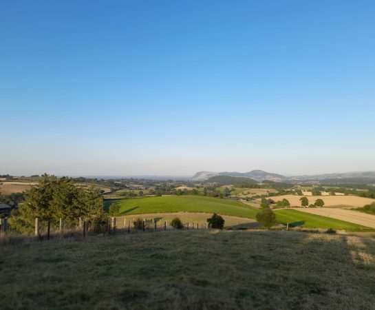 A green field in Powys during last year’s drought, which had previously been treated with biochar