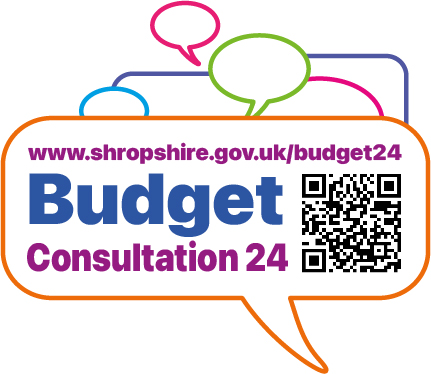 Budget Consultation 24 logo
