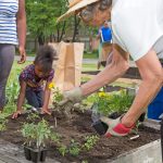 Volunteer community gardeners wanted