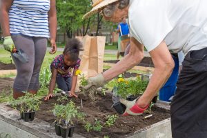 Volunteer community gardeners wanted