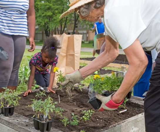 Volunteer community gardeners wanted