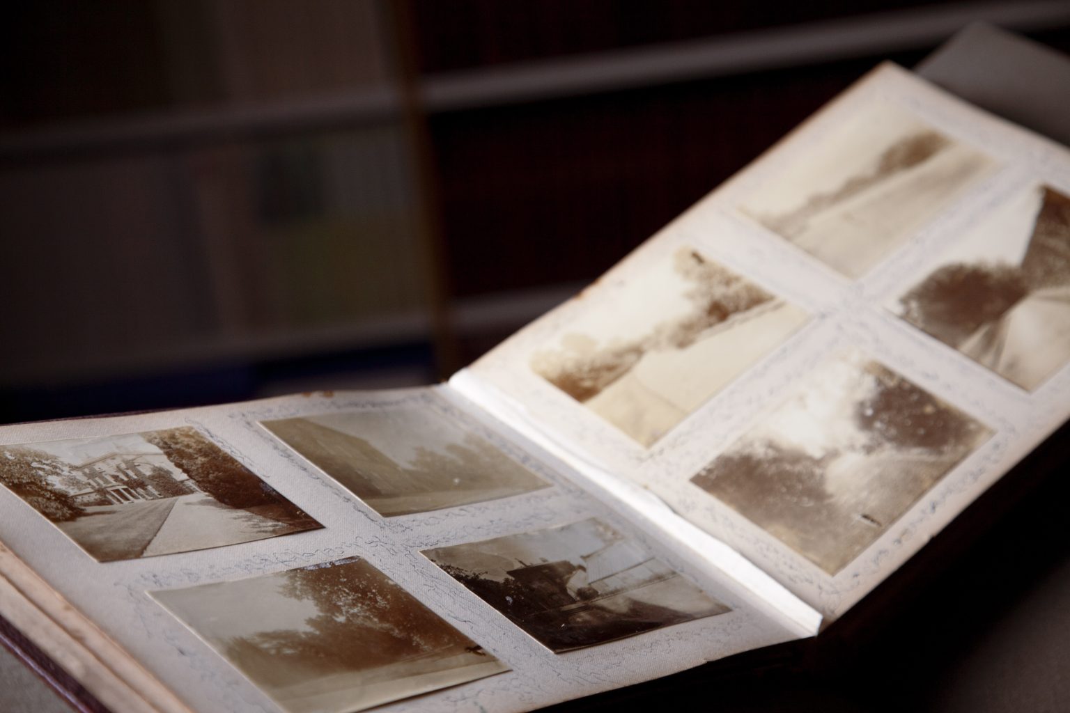 Never seen before Darwin images digitised by Shropshire Archives
