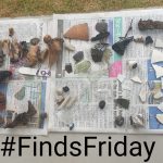 Some swift finds cleaning by Alan our finds expert also makes sure that our first finds from Trench 4 are ready for Finds Friday!