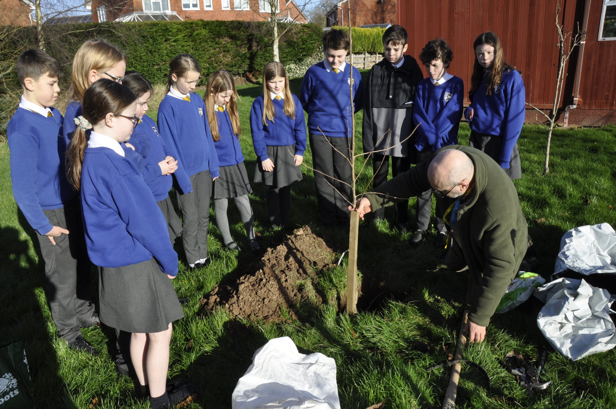 Ellesmere Primary School plant cherry tree in remembrance of the