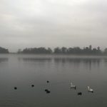 the mere at ellesmere