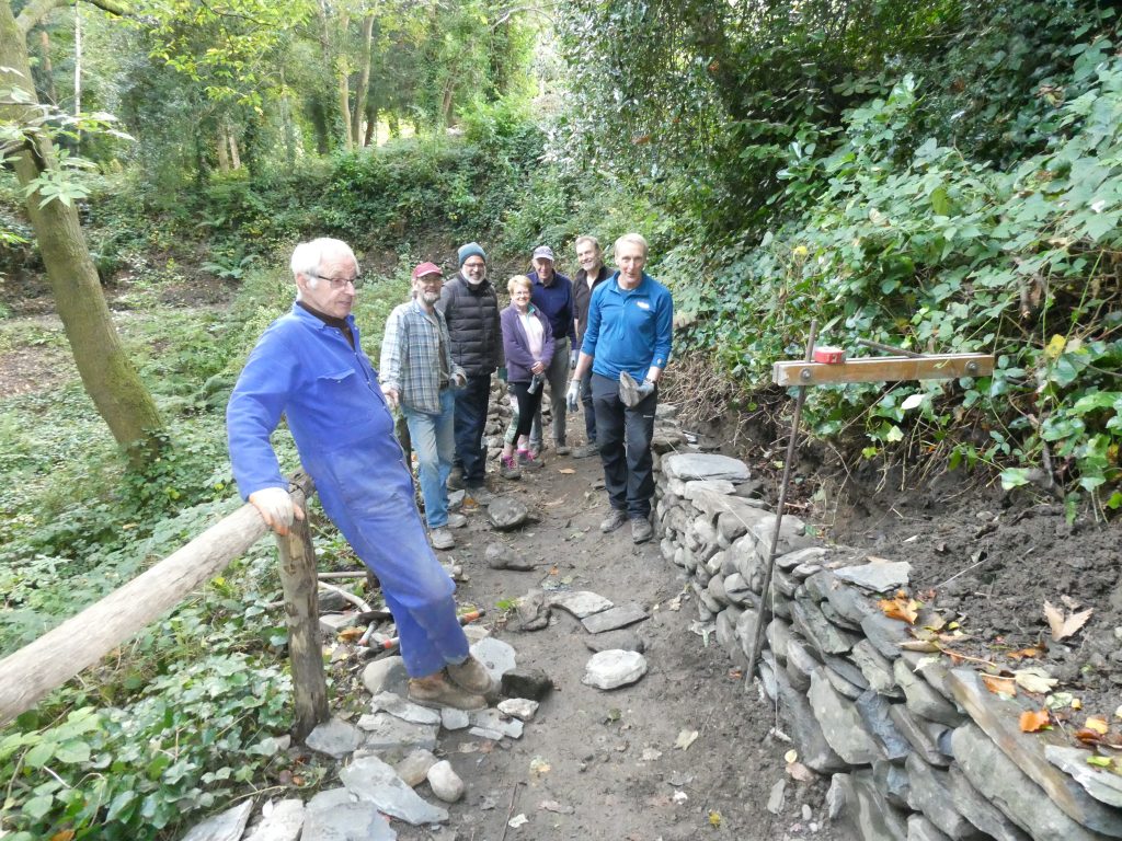 Enthusiastic team of dry stone wallers at Plas Newydd