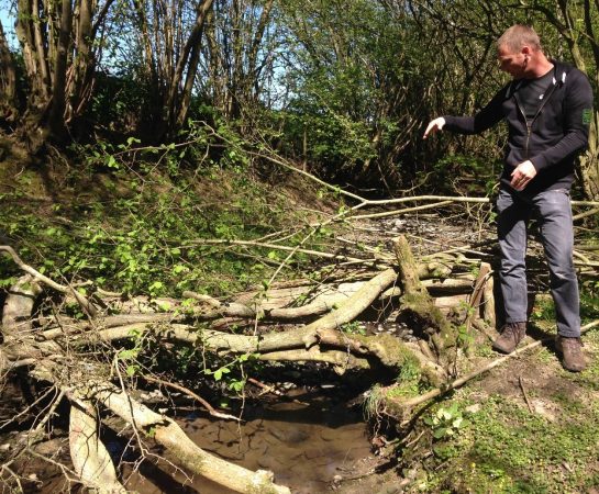 Luke Neal explaining the key features of a leaky woody barrier on the Wilde brook, Corvedale.