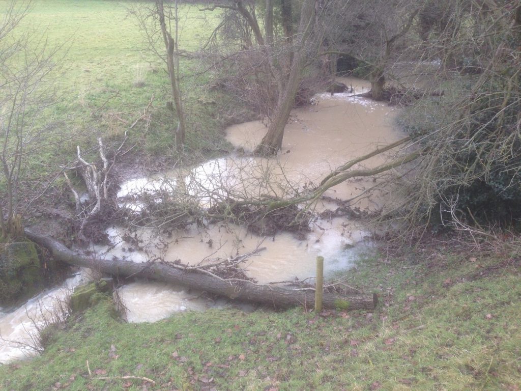 Wilde Brook flooding, showing how the leaky woody barriers cause water to back up and engage with the flood plain (one of the monitoring sites for the study awarded in ICE)